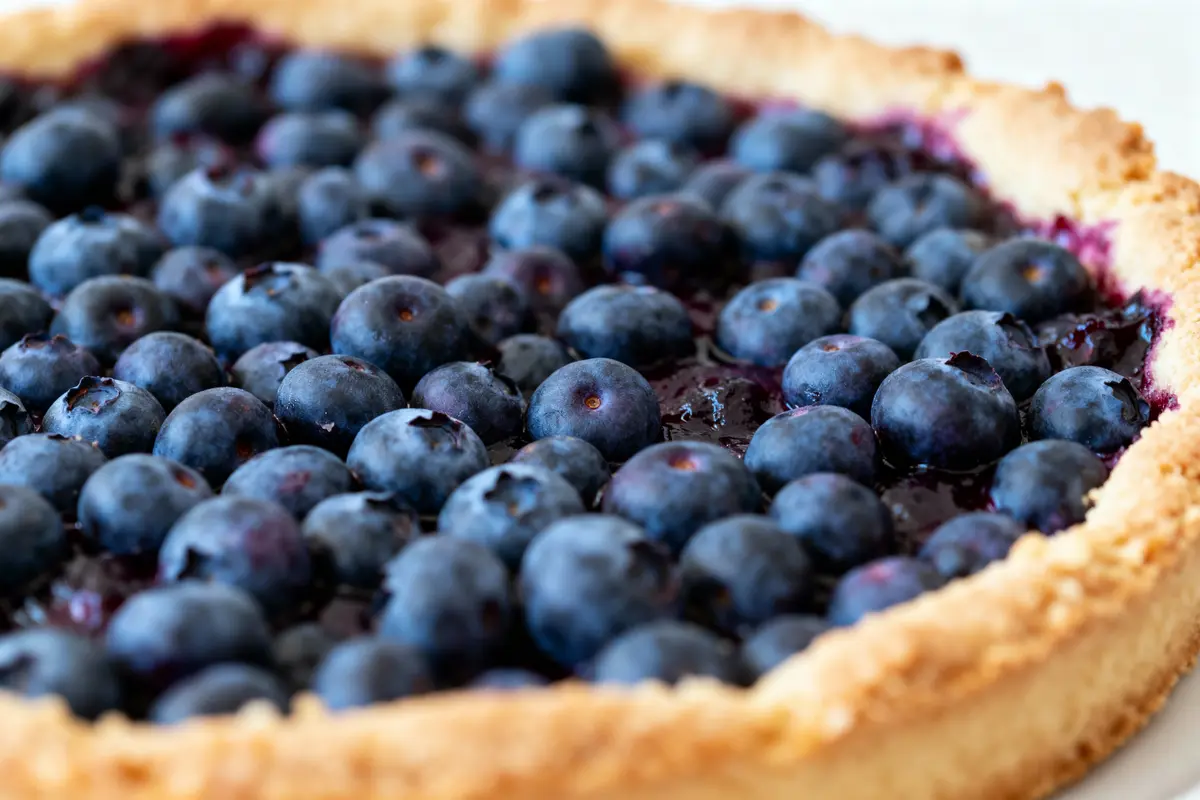 Tarte aux myrtilles avec croûte dorée, garnie de nombreux fruits frais juteux et appétissants.