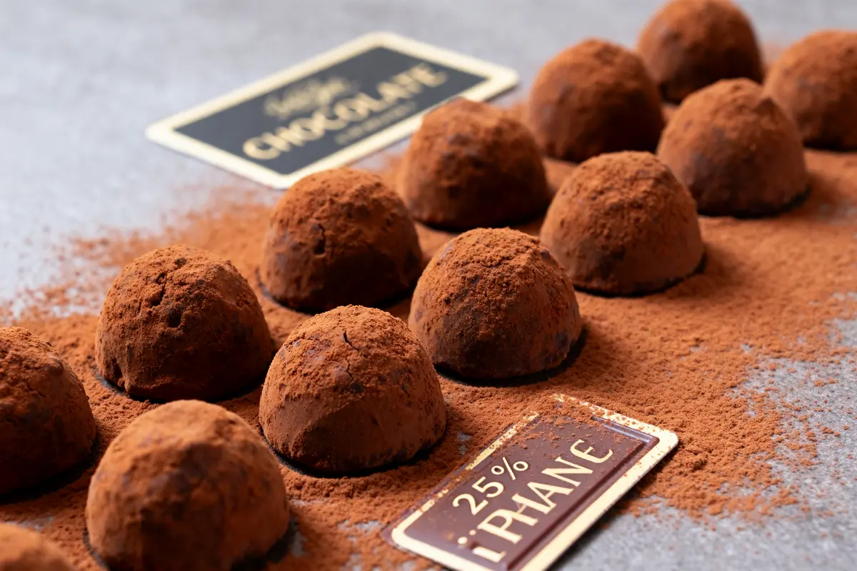 pexels-michal-pech-213601-757318 (1) Truffes chocolatées saupoudrées de cacao illustrant les caractéristiques des chocolats d'appellation truffes artisanales