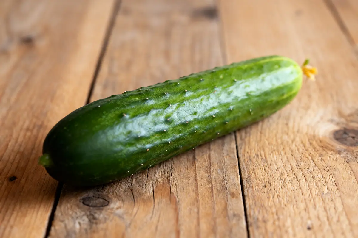 Concombre vert frais sur table en bois, légume ou fruit polyvalent et savoureux