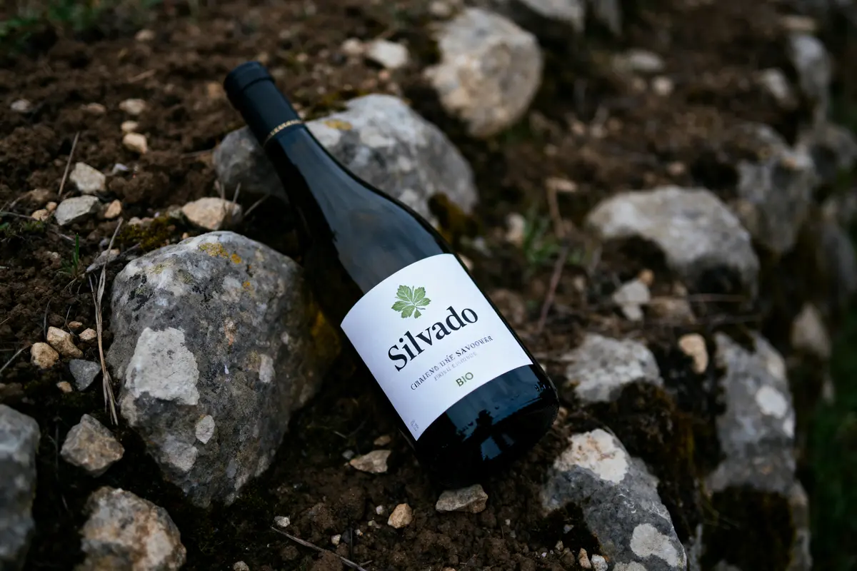 pexels-michal-pech-213601-757318 (1) Bouteille de vin bio Silvado posée sur terre et pierres naturelles