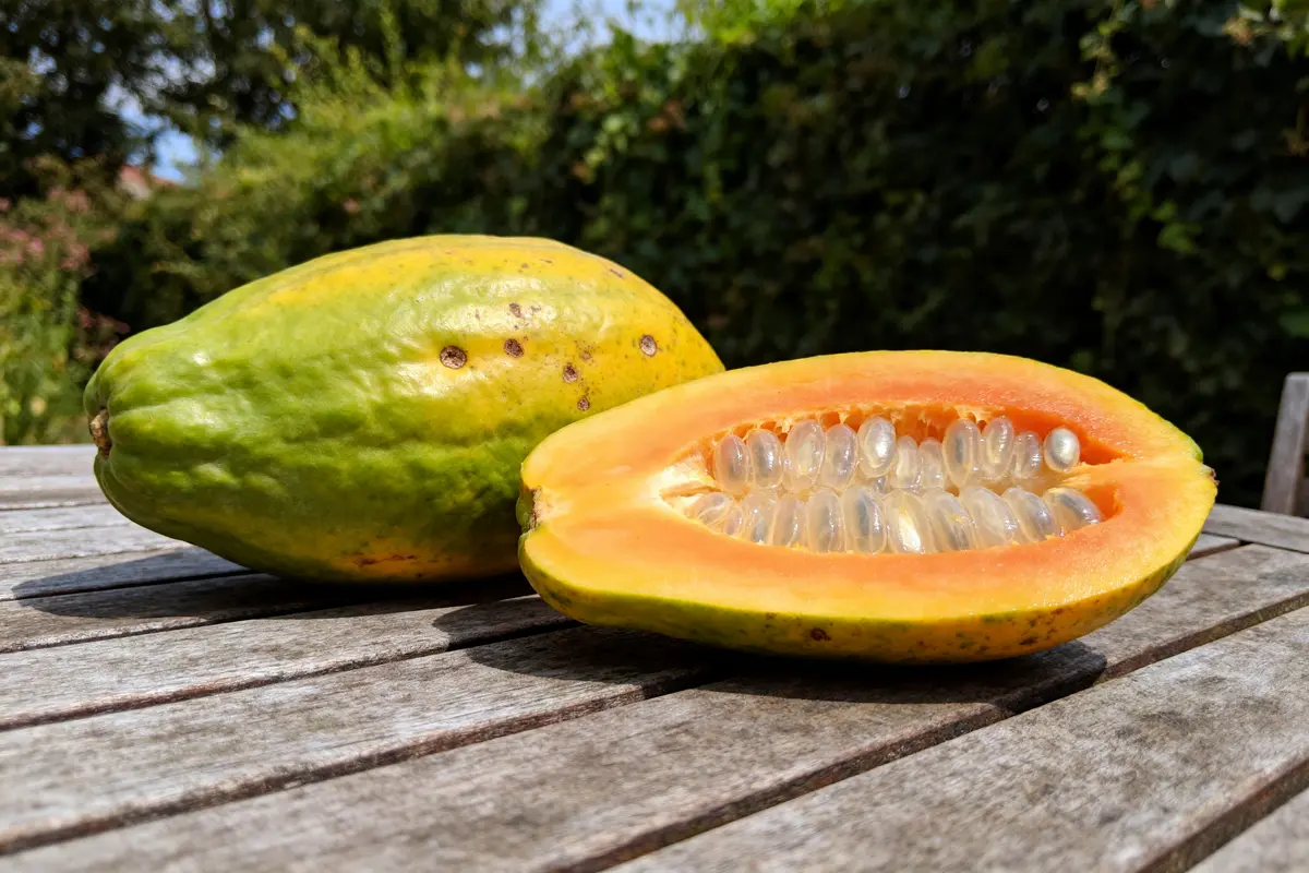 Fruits qui commencent par I : Liste complète et exemples
