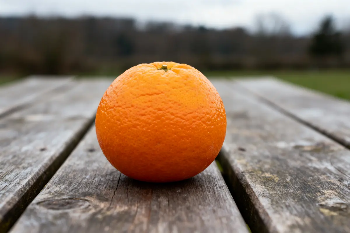 Kaki calorique : Quelle valeur nutritionnelle et bienfaits santé ?